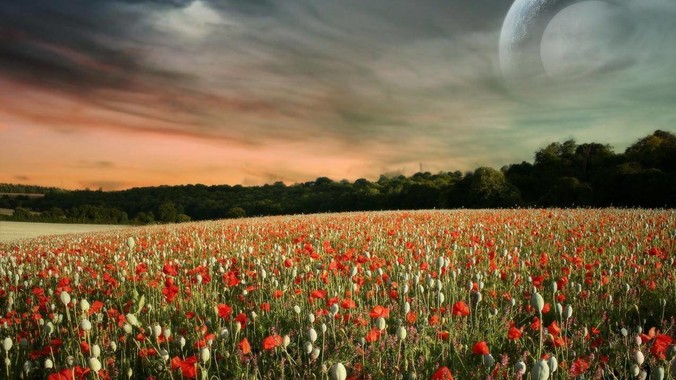 为什么个人需要公网ip？